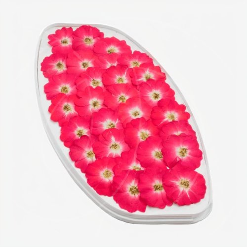 Роза обезвоженная "Огненный поцелуй" Плоская 20 шт 