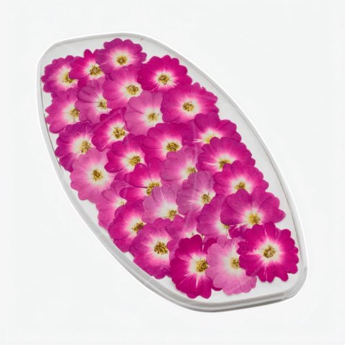 Роза обезвоженная "Пурпурный фламинго" Плоская 20 шт 